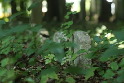 Entretien de pierre tombale